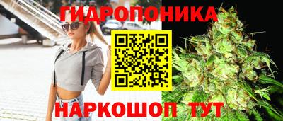 гидра Ангарск