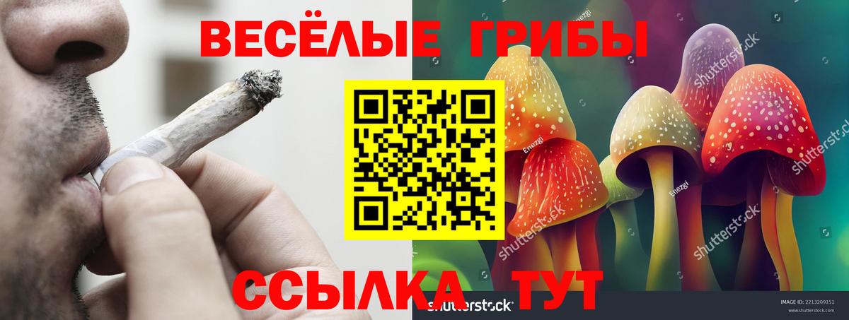 Городец  Галлюциногенные грибы GOLDEN TEACHER  Вход с VPN 