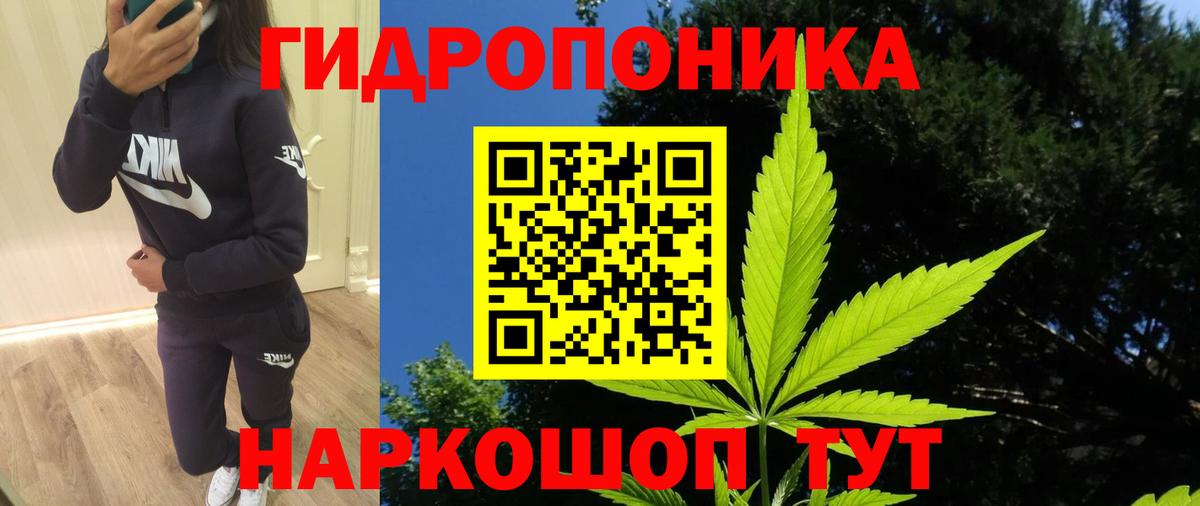 Городец  Шишки марихуана гибрид  Вход с VPN  Бошки Шишки планчик 